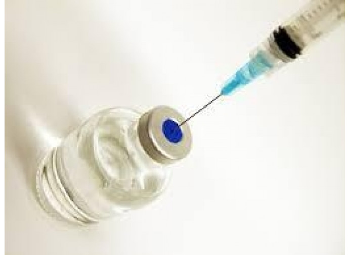 Vaccini Vaccini