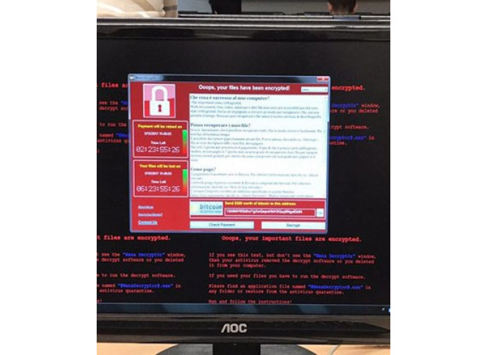 Il virus, come si presenta Il virus, come si presenta