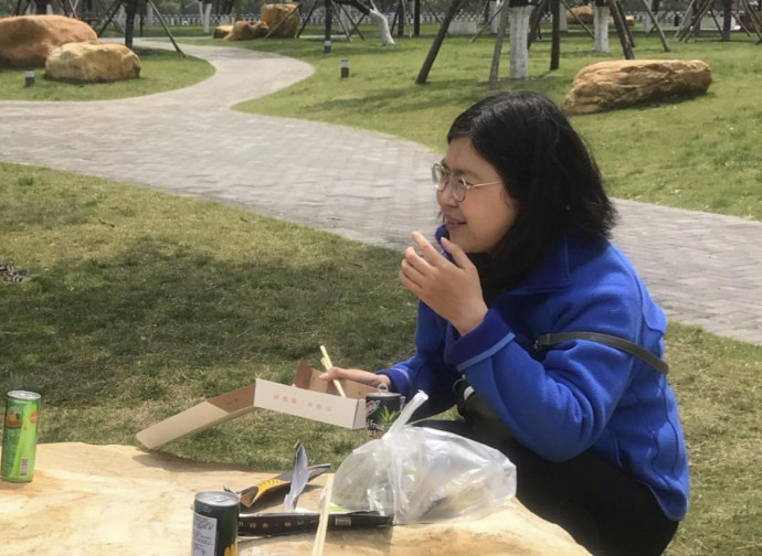 Zhang Zhan Zhang Zhan